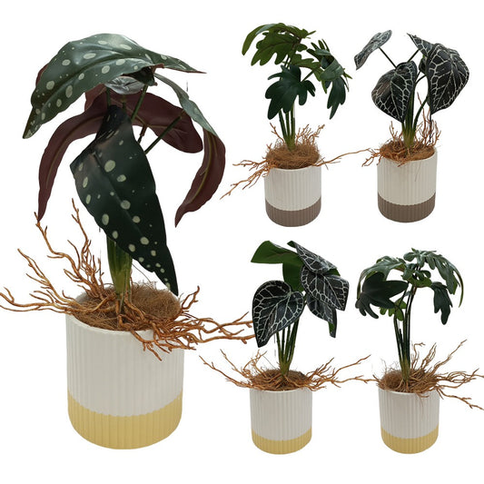 Cool Gift, Artificial Plants Potted #555