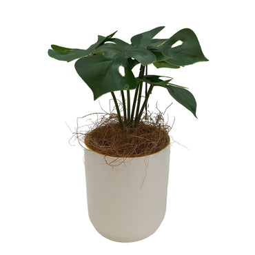 Cool Gift, Artificial Plants Potted #557