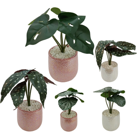 Cool Gift, Artificial Plants Potted #569