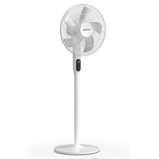 Sensus, Fan