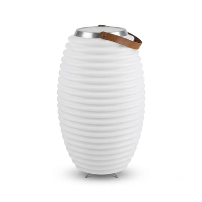 LB Bluetooth Speaker & LED Cooler 41x65cm, WDIB01