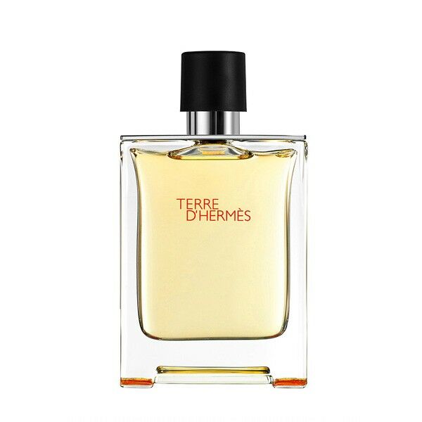 Hermès Terre d'Hermès Eau de Toilette 100ml