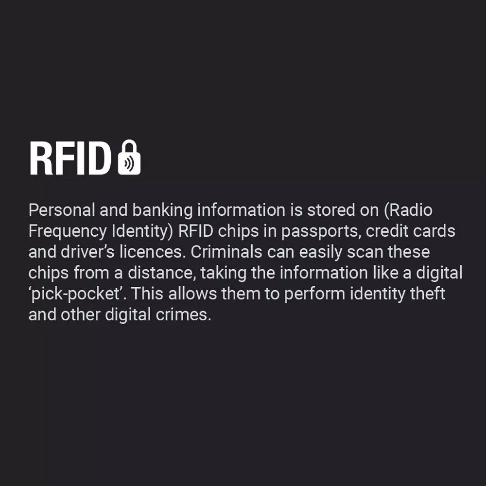 Go Travel, RFID Passport Pouch