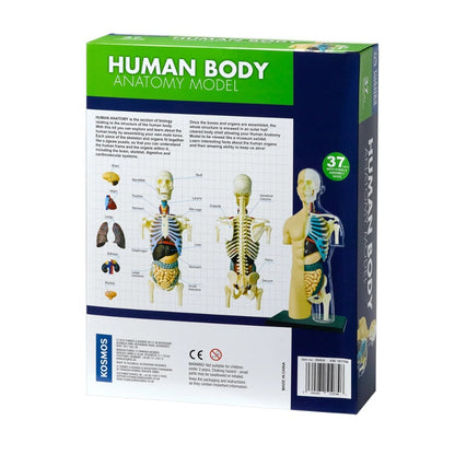 Human Anatomy