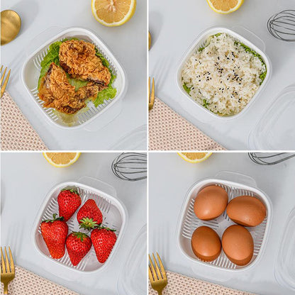 Cool Gift, Frozen Storage Containers, Rice, Serving