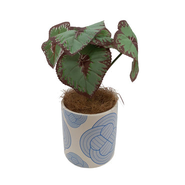 Cool Gift, Artificial Plants Potted #0213-52