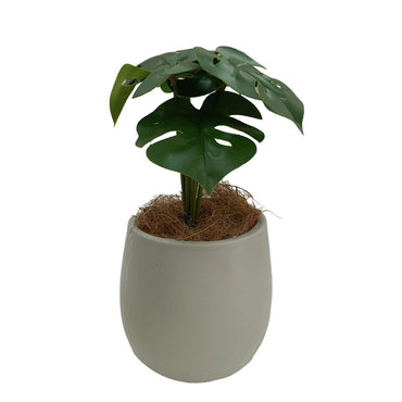 Cool Gift, Artificial Plants Potted #553