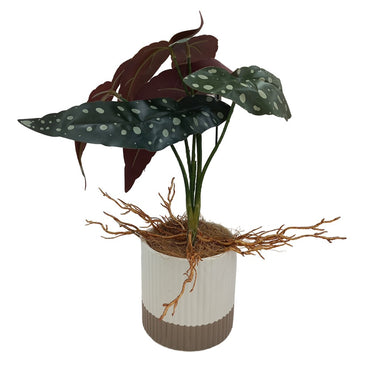 Cool Gift, Artificial Plants Potted #555