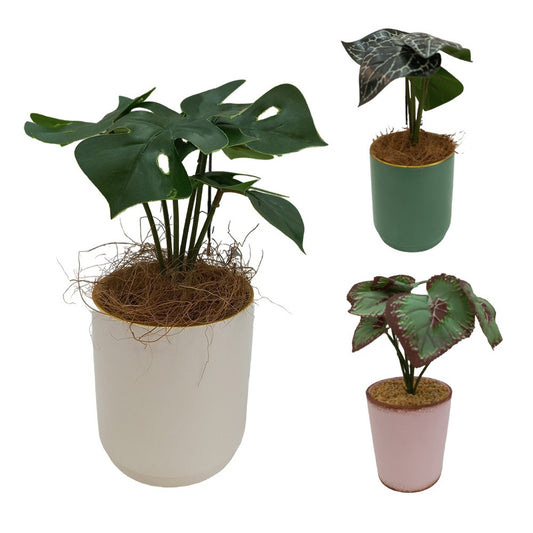 Cool Gift, Artificial Plants Potted #557