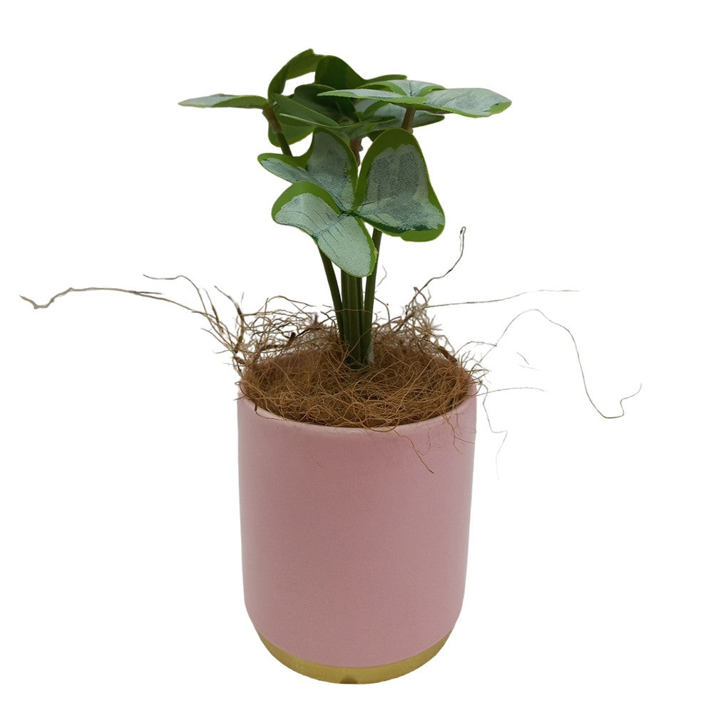 Cool Gift, Artificial Plants Potted #557