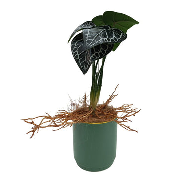 Cool Gift, Artificial Plants Potted #558