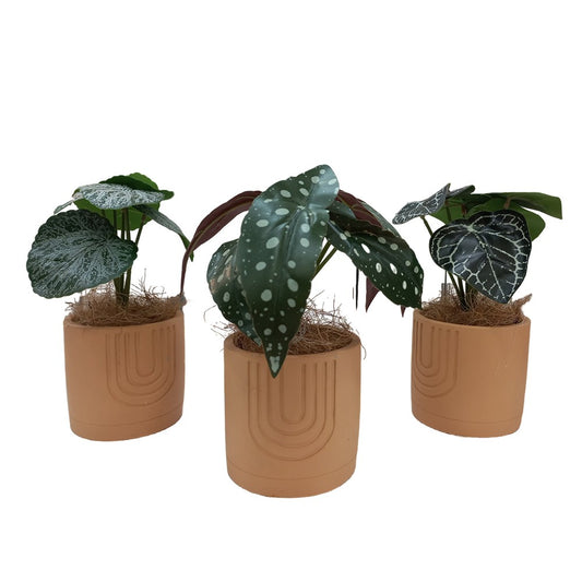 Cool Gift, Artificial Plants Potted #560