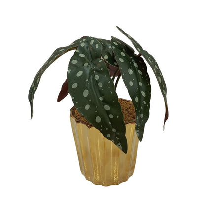 Cool Gift, Artificial Plants Potted #564