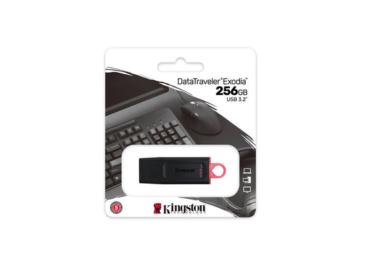 Kingston, USB 256GB