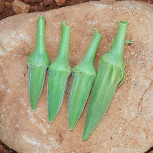 Seed Bound, Hybrid Okra Seeds