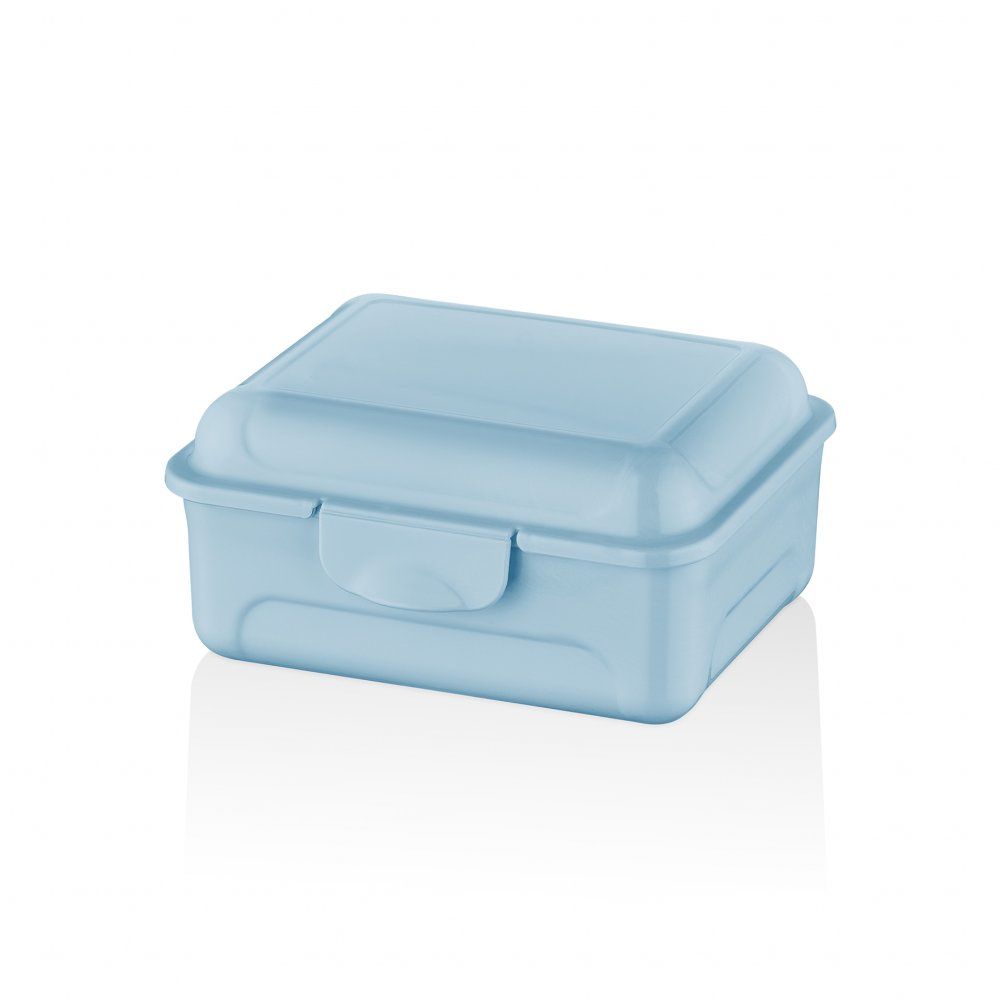 Bager, 500 Cc Practical Locked Storage Container