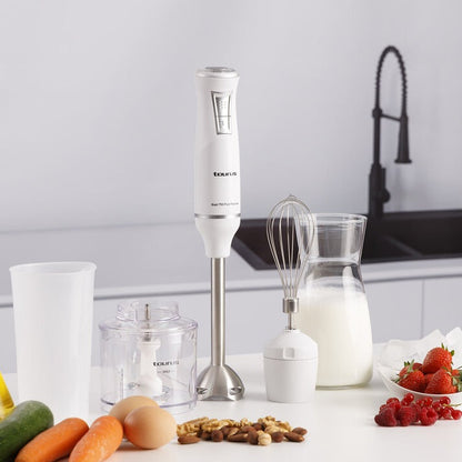 Taurus, Bapi 750 pure plus inox - Hand Blender