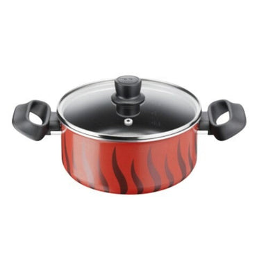 Tefal, Tempo Flame Stew Pot (Casserole) 20 Cm Glass Lid
