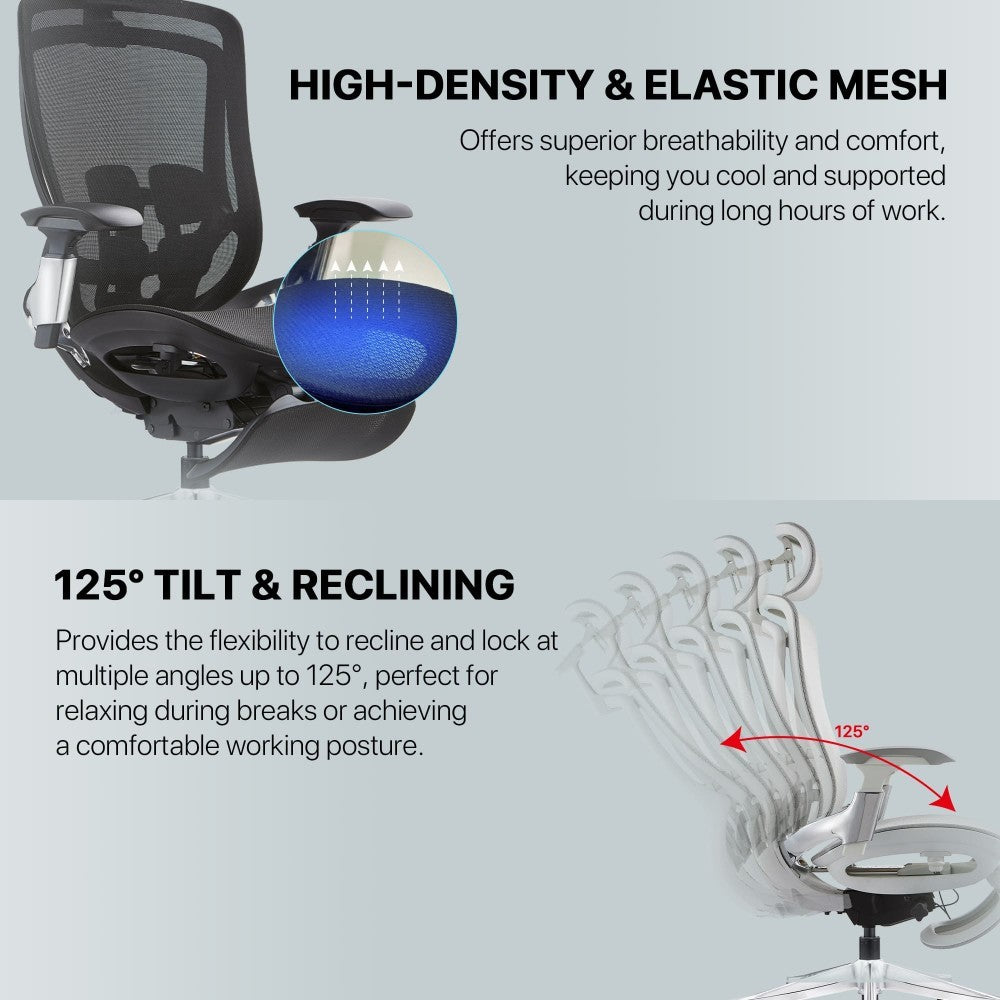 Fantech, Oc2 Ergonomic Office Chair