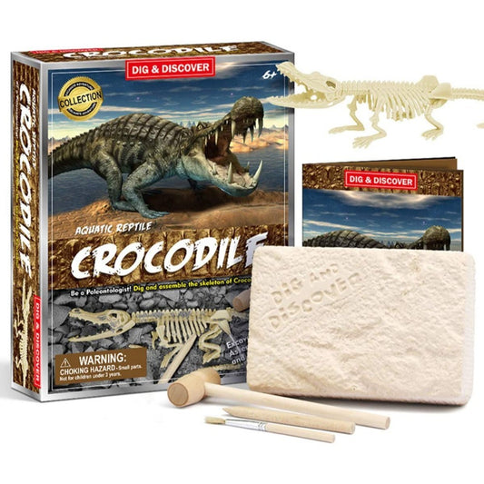 Generic, Prehistoric Crocodile Dig Kit, Dino Fossil Excavation Kit For Kids, Science Education Toys Stem 3D Dinosaur Skeleton Diy Toys For Boys Girls