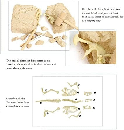 Trade, Dig And Discovery Dinosaur Fossil Excavation Kit With 11 Piece Velociraptor Skeleton-Archaeology Science Crafts Gifts For Boys Girls
