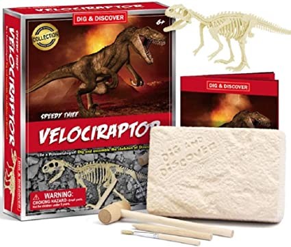 Trade, Dig And Discovery Dinosaur Fossil Excavation Kit With 11 Piece Velociraptor Skeleton-Archaeology Science Crafts Gifts For Boys Girls