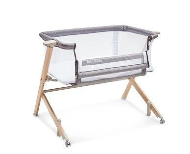 Good Babies, Roger Armstrong Baby Co-Sleeper Bassinet