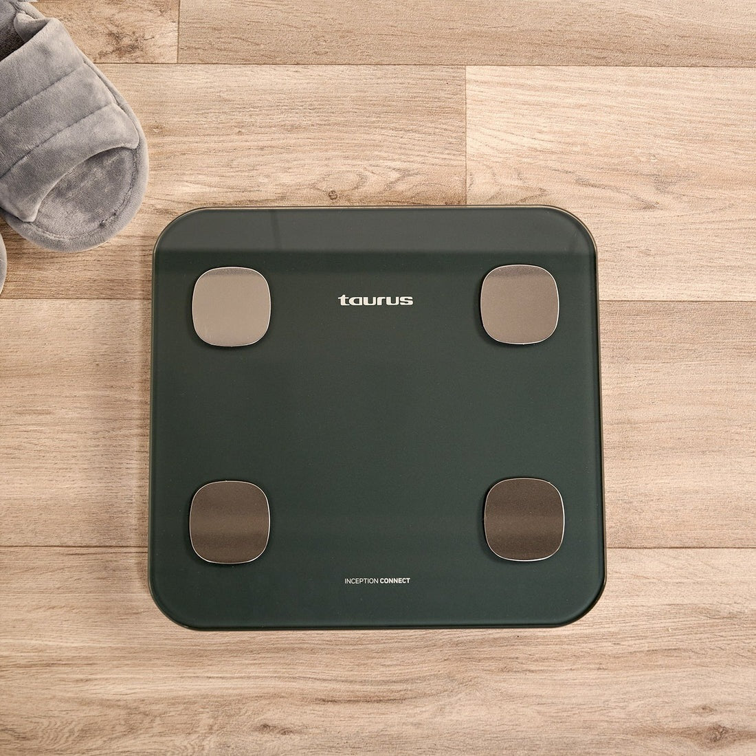 Taurus, Body Scale - Inception Connect