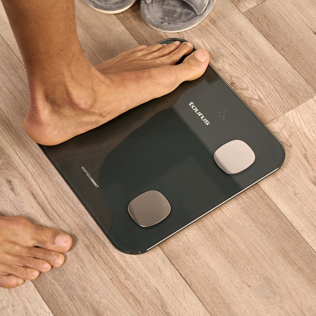 Taurus, Body Scale - Inception Connect