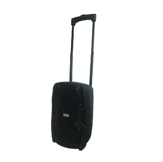 Pronex Karaoke Speaker