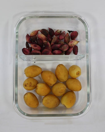 Luciano, High Borosilicate Rect. 2 Compartment Glass Container With Lifetime Lasting Lid 1040Ml (19.6X14.6X6Cm) B/12