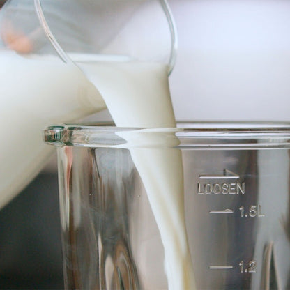 Taurus, Optima Go 1500 Blender