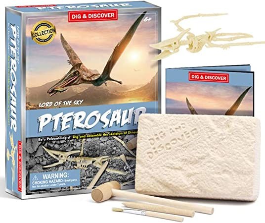 Generic, Dinosaur Dig Kit, Pterosaur Skeleton Dig Excavation Kit For Kids Science Education-Fossils Stem Dig Toys For Kids Party Gifts