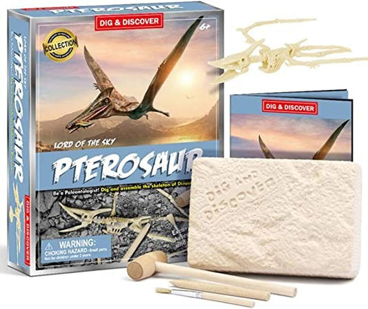 Generic, Dinosaur Dig Kit, Pterosaur Skeleton Dig Excavation Kit For Kids Science Education-Fossils Stem Dig Toys For Kids Party Gifts