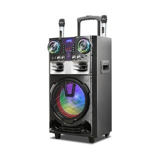 Hay-Power, Bluetooth Karaoke Speaker 12'